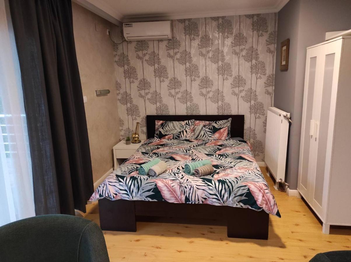 סמדרבו Vila Mila Riverside Apartments מראה חיצוני תמונה