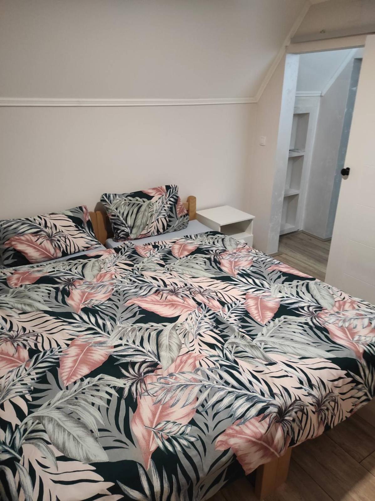 סמדרבו Vila Mila Riverside Apartments חדר תמונה