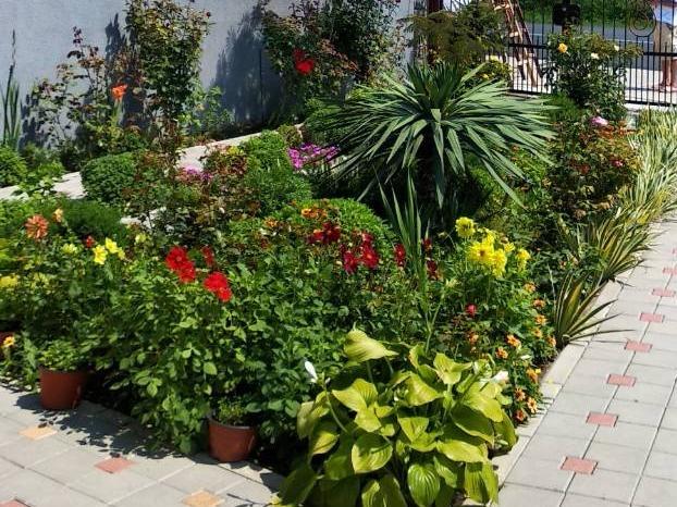 סמדרבו Vila Mila Riverside Apartments מראה חיצוני תמונה