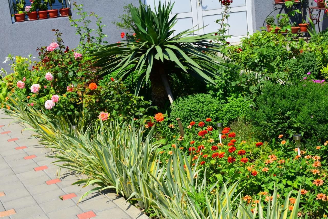 סמדרבו Vila Mila Riverside Apartments מראה חיצוני תמונה